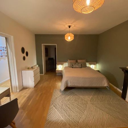 Le Gonzague, Appartement Hyper-Centre Tout Confort. Charleville-Mezieres Exterior photo